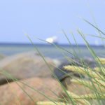Sehnsucht: dem Stress entfliehen 